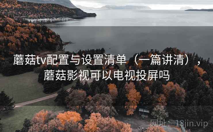 蘑菇tv配置与设置清单（一篇讲清），蘑菇影视可以电视投屏吗