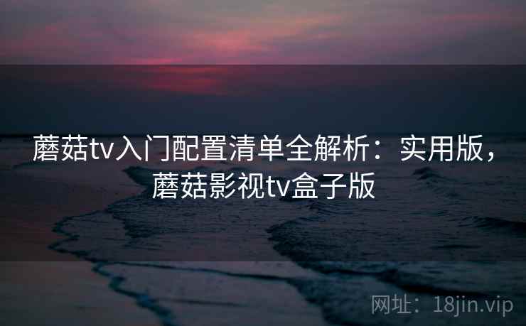 蘑菇tv入门配置清单全解析：实用版，蘑菇影视tv盒子版