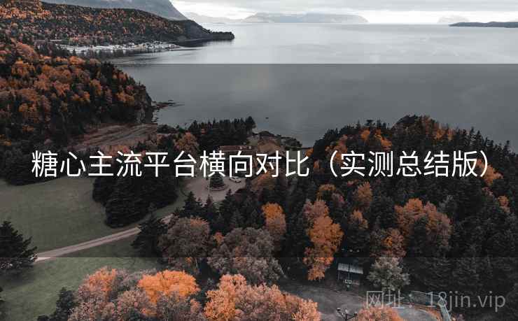 糖心主流平台横向对比（实测总结版）