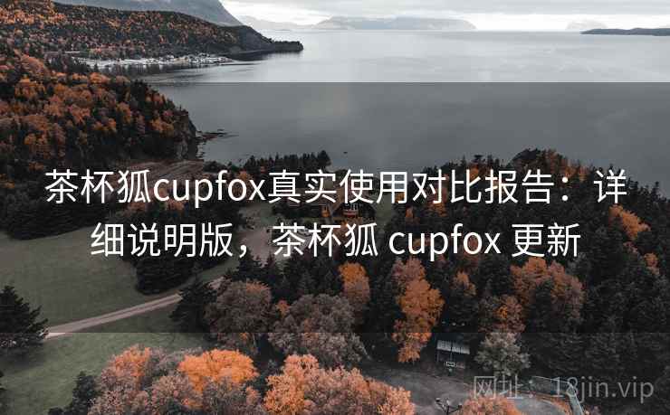 茶杯狐cupfox真实使用对比报告：详细说明版，茶杯狐 cupfox 更新
